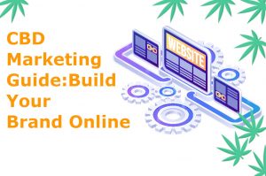 Cbd Marketing Guide