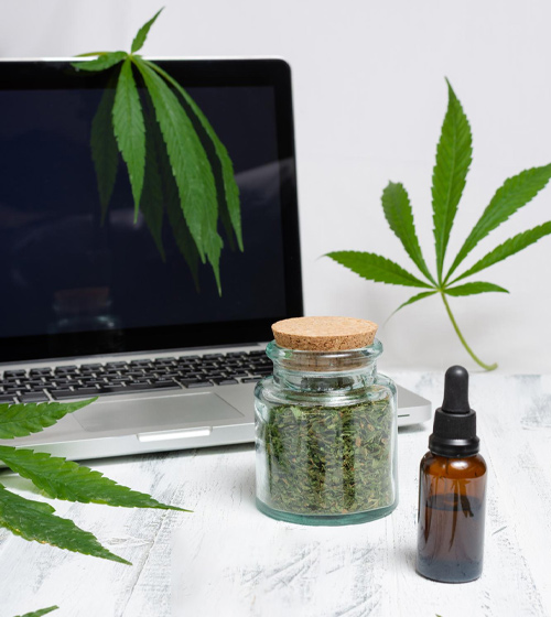 Choose Us For Your CBD Hemp Digital Marketing 1 1